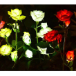 Φωτιζόμενα διακοσμητικά λουλούδια LED με ηλιακό πάνελ - 2pcs - 150289 - Red