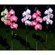 Φωτιζόμενα διακοσμητικά λουλούδια LED με ηλιακό πάνελ - 2pcs - 150388 - Pink