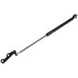 ΑΜΟΡΤΙΣΕΡ ΠΟΡΤ ΜΠΑΓΚΑΖ ΔΕΞΙ ΓΙΑ TOYOTA YARIS 1999-2005 500mm/245N orig.6895009120/6895059025/6895059065 ΝΤΥ - 1 τεμ.