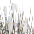 GloboStar® Artificial Garden BEIGE LAGURU 21100 Διακοσμητικό Φυτό Μπεζ Λαγοουρά Υ70cm