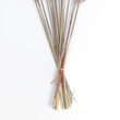 GloboStar® Artificial Garden REAL DRIED BROWN PAMPAS GRASS BUNCH 21215 Αποξηραμένο Διακοσμητικό Μπουκέτο Pampas Kάφε Y50cm