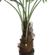 GloboStar® Artificial Garden SERENOA PALM PLANT 20971 Διακοσμητικό Φυτό Φοίνικα Σερενόα Φ60 x Υ140cm