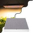 GloboStar® 85955 Grow Light Panel Hydro Spectrum LED Φωτιστικό Ανάπτυξης Φυτών Υδροπονικού Θερμοκηπίου SMD 2835 100W 160° AC230V IP54 Εσωτερικού Χώρου για Κάλυψη Επιφάνειας 1m x 1m GloboStar® 85955 Grow Light Panel Hydro Spectrum LED Φωτιστικό Ανάπτυξης Φυτών Υδροπονικού Θερμοκηπίου SMD 2835 100W 160° AC230V IP54 Εσωτερικού Χώρου για Κάλυψη Επιφάνειας 1m x 1m