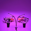 GloboStar® 85957 Grow Light Full Spectrum LED Φωτιστικό Ανάπτυξης Φυτών Γλάστρας με 4 Κινούμενες Κεφαλές & Βάση Μανταλάκι Clip SMD 2835 20W 160° AC230V IP20 με Dimmer & Timer Εσωτερικού Χώρου για Κάλυψη Επιφάνειας 1m x 1m Πλήρους Φάσματος Φωτισμού