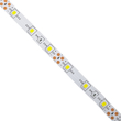 GLOBOSTAR® AVILA 90590 Ταινία LED 4.8W/m 300lm/m 120° DC 12V IP20 60 x SMD 3528 Chip/m Ψυχρό Λευκό 6000K Dimmable - Μ500 x Π0.8 x Υ0.2cm - Ρολό 5 Μέτρων - 2 Χρόνια Εγγύηση