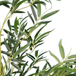 GloboStar® Artificial Garden BAMBOO 20038 Τεχνητό Διακοσμητικό Φυτό Μπαμπού Υ280cm