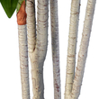 GloboStar® Artificial Garden DRACAENA SILK 20044 - Τεχνητό Διακοσμητικό Φυτό Δράκαινα Υ170cm