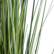 GloboStar® Artificial Garden CRASPEDIA GRASS 20112 Τεχνητό Διακοσμητικό Φυτό Κρασπέδια Υ150cm