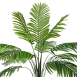 GloboStar® Artificial Garden COCONUT PALM TREE 20088 Τεχνητό Διακοσμητικό Φυτό Φοινικόδεντρο Κοκοφοίνικας Υ250cm