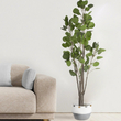GloboStar® Artificial Garden POLYSCIAS BALFOURIANA TREE 20375 Τεχνητό Διακοσμητικό Φυτό Πολυσκιά Υ180cm