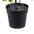 GloboStar® Artificial Garden ANUBIA BARTERI 20390 Τεχνητό Διακοσμητικό Φυτό Ανούμπια Υ30cm
