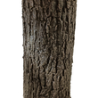 GloboStar® Artificial Garden ACER RUBRUM SYCAMORE TREE 20437 Τεχνητό Διακοσμητικό Δέντρο Κόκκινος Σφένδαμος Υ400cm