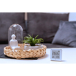 Shelly Plus H&T x4 Bundle | Shelly Plus H&T x4 Bundle