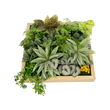 GloboStar® Artificial Garden VARIOUS PLANT 20641 Τεχνητό Διακοσμητικό Φυλλωσιάς σε Ξύλινο Πάνελ  - Κάθετος Κήπος Μιξ Μ60 x Π60 x Υ32cm