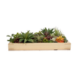 GloboStar® Artificial Garden VARIOUS PLANT 20642 Τεχνητό Διακοσμητικό Φυλλωσιάς σε Ξύλινο Πάνελ  - Κάθετος Κήπος Μιξ Μ60 x Π60 x Υ20cm