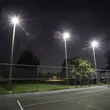 50W FLOODLIGHT-CREE CHIP CCT:4000K BLACK BODY GREY GLASS (135LM/W) 6YRS WARRANTY IP65