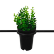 GLOBOSTAR® FLOWERPOT 10001209 Μοντέρνο Κρεμαστό Φωτιστικό Οροφής με Ντουί 1 x E27 AC 220-240V IP20 - Μαύρο & Πράσινο - Μ34 x Π34 x Y34cm