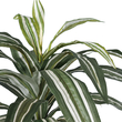 GloboStar® Artificial Garden BRAZILIAN IRON 20083 - Τεχνητό Διακοσμητικό Φυτό Αρωματική Δράκαινα Υ30cm