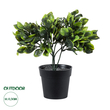 GloboStar® Artificial Garden ANUBIA BARTERI 20390 Τεχνητό Διακοσμητικό Φυτό Ανούμπια Υ30cm