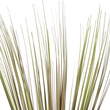 GloboStar® Artificial Garden BEIGE GRASS BOUQUET 21163 Τεχνητό Διακοσμητικό Μπουκέτο Grass Μπεζ Y90cm