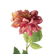 GloboStar® Artificial Garden PINK DHALIA BRANCH 21334 Τεχνητό Διακοσμητικό Ροζ Κλαδί Ντάλια Y60cm