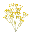 GloboStar® Artificial Garden YELLOW BRANCH BABY BREATH 21370 Τεχνητό Διακοσμητικό Κλαδί Κίτρινης Γυψοφίλης Y61cm