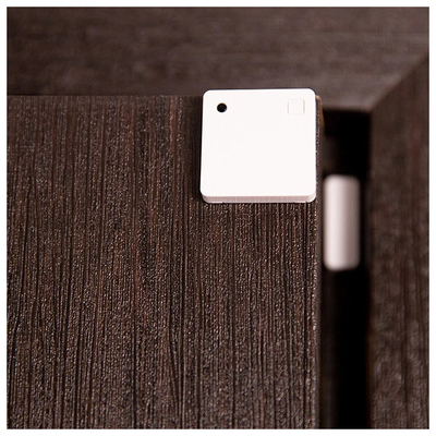 ELVHX - Shelly BLU Door/Window_White