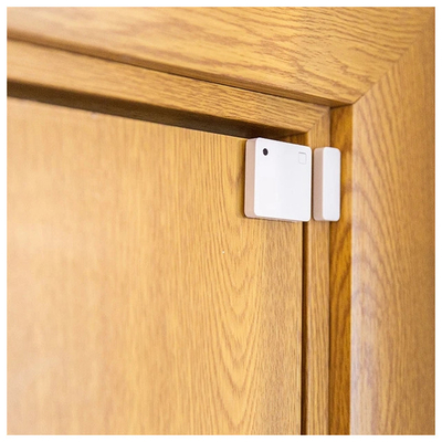 ELVHX - Shelly BLU Door/Window_White