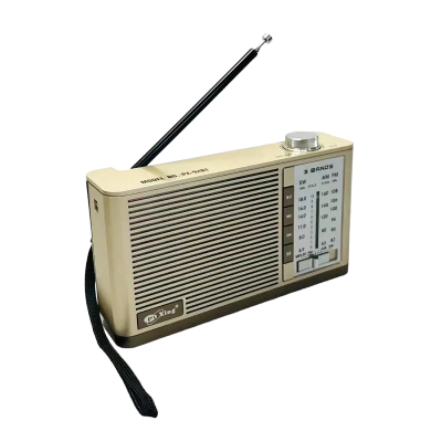 Επαναφορτιζόμενο ραδιόφωνο – PX-92BT - 000923 - Gold