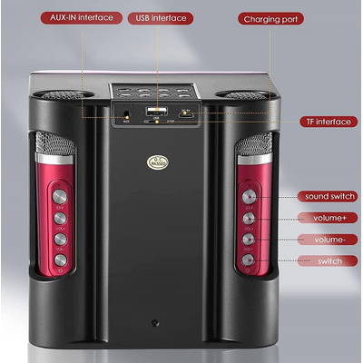 Ασύρματο ηχείο Bluetooth με 2 μικρόφωνα Karaoke - YS-207 - 887196 - Black