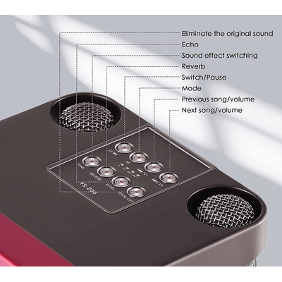 Ασύρματο ηχείο Bluetooth με 2 μικρόφωνα Karaoke - YS-207 - 887196 - Gold