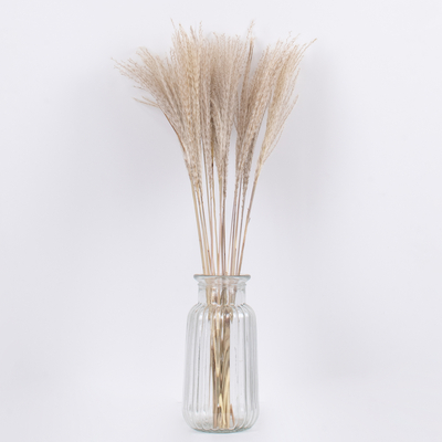 GloboStar® MISCANTHUS 36535 Αποξηραμένο Φυτό Μίσχανθος - Μπουκέτο Διακοσμητικών Κλαδιών Μπεζ Υ60cm