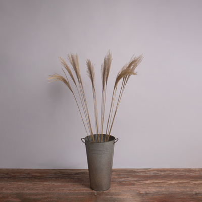 GloboStar® MISCANTHUS 36538 Αποξηραμένο Φυτό Μίσχανθος - Μπουκέτο Διακοσμητικών Κλαδιών Μπεζ Υ120cm