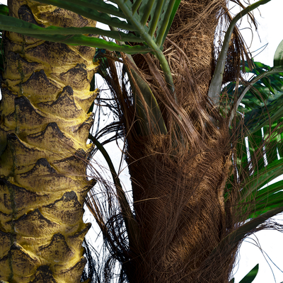 GloboStar® Artificial Garden COCONUT PALM TREE 20087 Τεχνητό Διακοσμητικό Φυτό Φοινικόδεντρο Κοκοφοίνικας Υ350cm