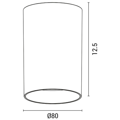 ΦΩΤΙΣΤΙΚΟ ΟΡΟΦΗΣ ΚΥΛΙΝΔΡΟΣ ΠΛΑΣΤΙΚΟ GU10 Φ80X125 ΛΕΥΚΟ ARTE ILLUMINA