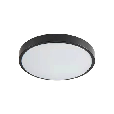 it-Lighting Torch LED 18W 3CCT Outdoor Ceiling Light Anthracite D:28cmx5,3cm (80300340)