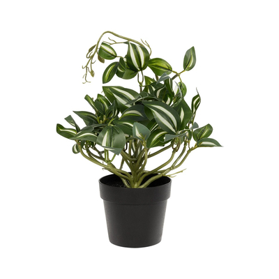 GloboStar® Artificial Garden ZEBRINA PLANT 20960 Διακοσμητικό Φυτό Ζεμπρίνα Φ45 x Υ22cm