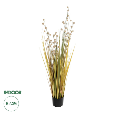 GloboStar® Artificial Garden CRASPEDIA GRASS 21479 Τεχνητό Διακοσμητικό Φυτό Κρασπέδια  Υ150cm