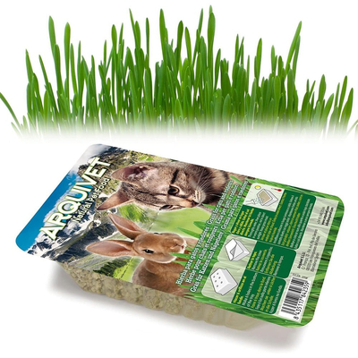 Arquivet Βρώσιμο Γρασίδι για Γάτες 100gr