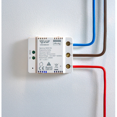 Ogemray Smart relay 25A | Ogemray Smart relay 25A - EAN 3800238070885