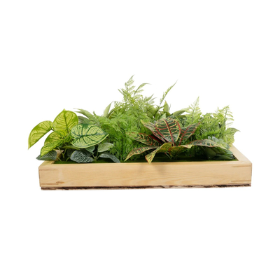 GloboStar® Artificial Garden VARIOUS PLANT 20641 Τεχνητό Διακοσμητικό Φυλλωσιάς σε Ξύλινο Πάνελ  - Κάθετος Κήπος Μιξ Μ60 x Π60 x Υ32cm