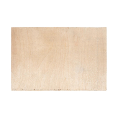 GloboStar® Artificial Garden VARIOUS PLANT 20642 Τεχνητό Διακοσμητικό Φυλλωσιάς σε Ξύλινο Πάνελ  - Κάθετος Κήπος Μιξ Μ60 x Π60 x Υ20cm