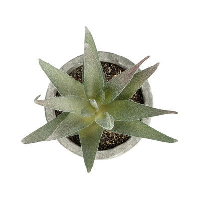 GloboStar® Artificial Garden SUCCULENT ALOE 21022 Τεχνητό Διακοσμητικό Φυτό Αλόη Μ6 x Π6 x Υ12cm