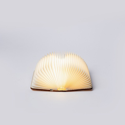 ΒΙΒΛΙΟ ΦΩΤΙΖΟΜΕΝΟ 8,5x12, 8 LED, ΕΠΑΝΑΦΟΡΤΙΖΟΜΕΝΗ ΜΠΑΤΑΡΙΑ, ΘΕΡΜΟ ΛΕΥΚΟ/ΘΕΡΜΟ/ΛΕΥΚΟ LED, USB TO TYPE C WIRE, ΠΡΟΕΚΤΑΣΗ ΠΑΡΟΧΗΣ 30cm, IP20