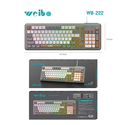 Ενσύρματο πληκτρολόγιο Η/Υ - LED RGB - WB-222 - Weibo - 658335