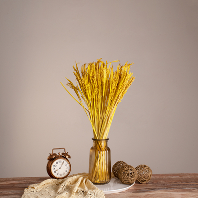 GloboStar® RISEGRASS 36506 Αποξηραμένο Φυτό Ρύζι - Μπουκέτο Διακοσμητικών Κλαδιών Μπεζ - Κίτρινο Υ60cm - Σετ 105 τμχ