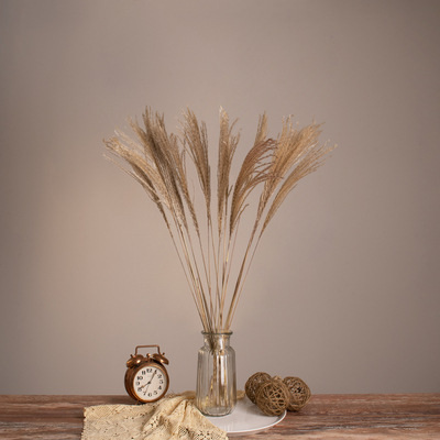 GLOBOSTAR® MISCANTHUS 36536 Αποξηραμένο Διακοσμητικό Μπουκέτο Μίσχανθος - Μπεζ - Μ20 x Π20 x Υ80cm - Πακέτο 20 Τεμαχίων