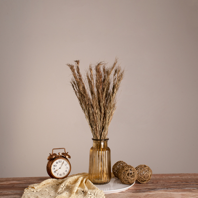 GloboStar® COLATAI 36549 Αποξηραμένο Φυτό Εράγρωστις - Μπουκέτο Διακοσμητικών Κλαδιών Μπεζ - Καφέ Υ60cm - Σετ 50 τμχ