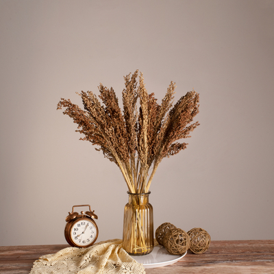 GloboStar® BROOMCORN 36553 Αποξηραμένο Φυτό Γλυκό Σόργο - Μπουκέτο Διακοσμητικών Κλαδιών Καφέ Υ60cm - Σετ 20 τμχ