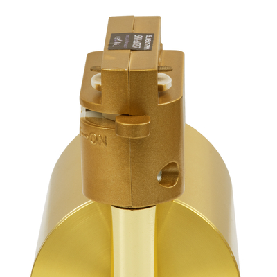 GLOBOSTAR® LEO 60357 Κινούμενο Φωτιστικό Σποτ Ράγας με Ντουί 1 x GU10 AC 220-240V IP20 - Χρυσό Πλατίνα - Μ6 x Π6 x Υ19cm